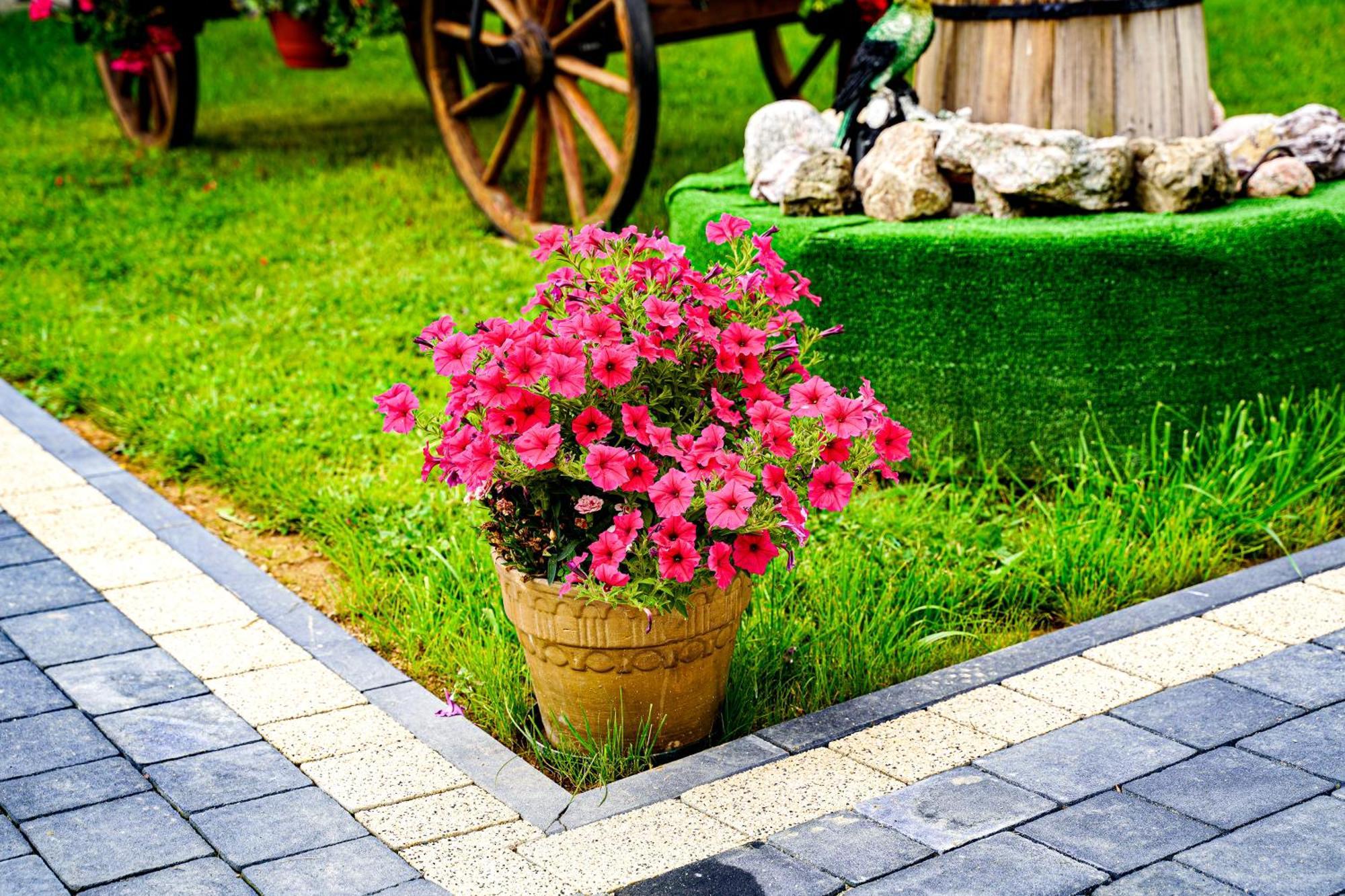 Gosciniec Kukulka Z Jacuzzi Bed & Breakfast Zakopane Exterior photo